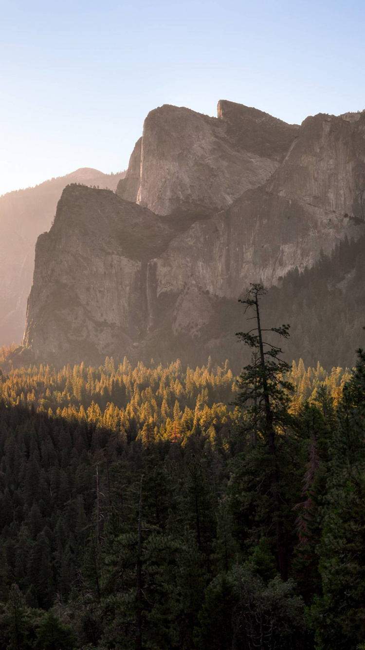 Green Trees Near Mountain During Daytime. Wallpaper in 750x1334 Resolution