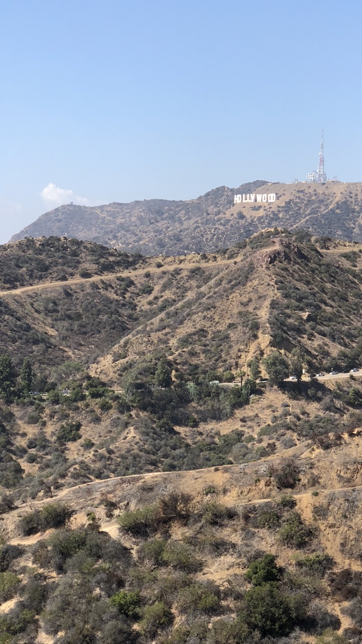 Hollywood-Schriftzug, Bergigen Landschaftsformen, Pflanzen-Gemeinschaft, Hill, Hochland. Wallpaper in 720x1280 Resolution