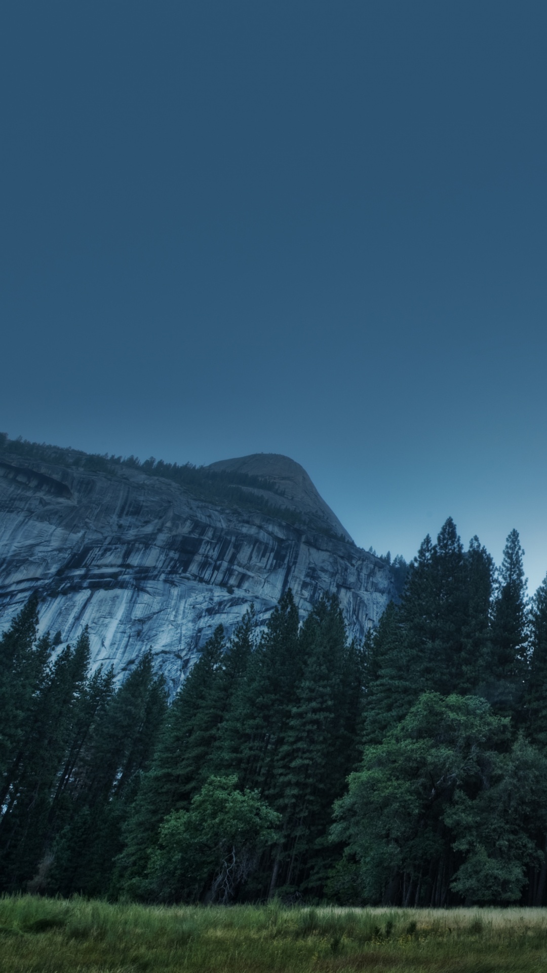 Green Pine Trees Near Mountain Under Blue Sky During Daytime. Wallpaper in 1080x1920 Resolution