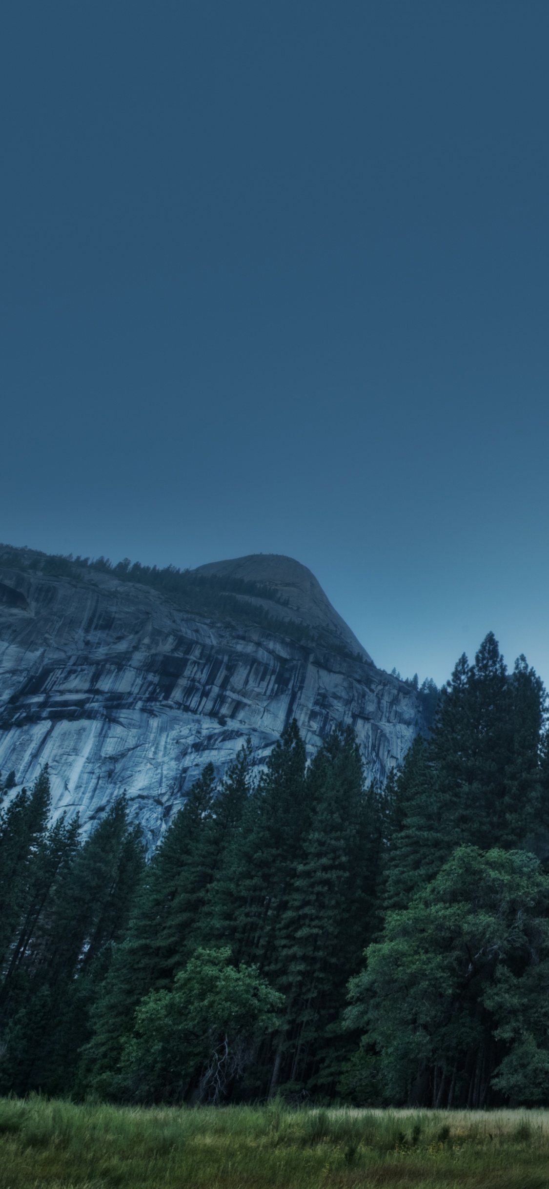 Green Pine Trees Near Mountain Under Blue Sky During Daytime. Wallpaper in 1125x2436 Resolution