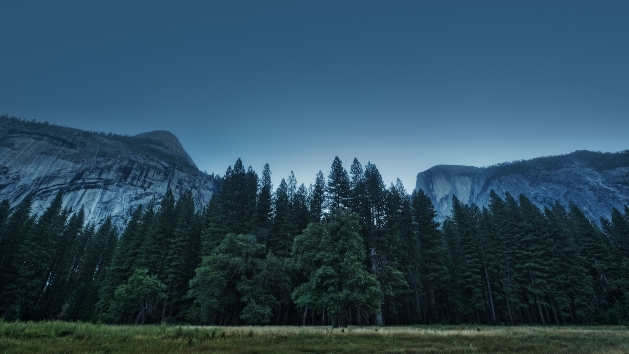 Green Pine Trees Near Mountain Under Blue Sky During Daytime. Wallpaper in 1280x720 Resolution