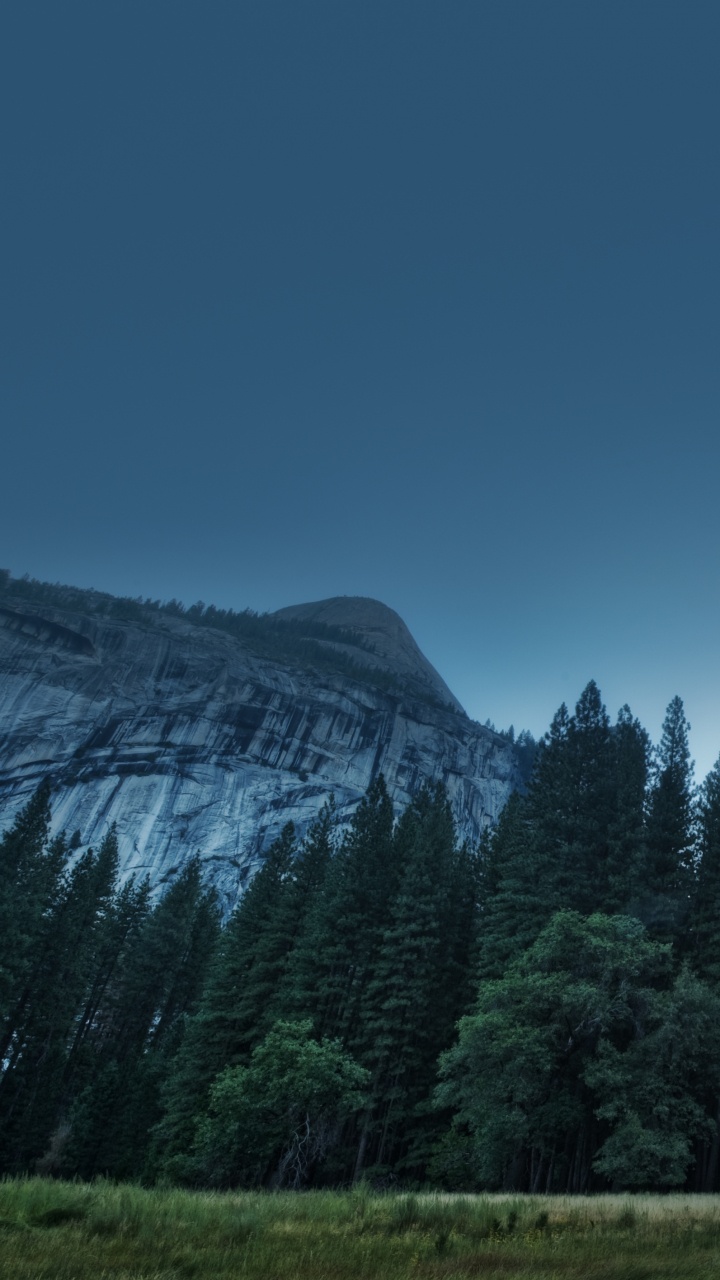 Green Pine Trees Near Mountain Under Blue Sky During Daytime. Wallpaper in 720x1280 Resolution