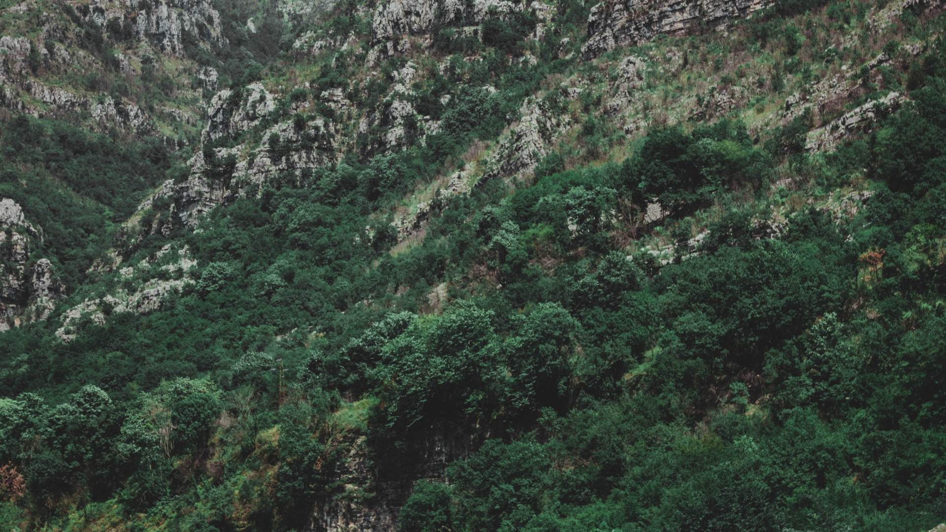 Wasser, Natur, Wildnis, Naturschutzgebiet, Bergigen Landschaftsformen. Wallpaper in 1920x1080 Resolution