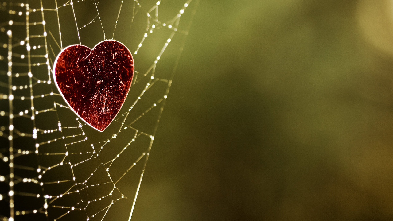 Heart, Water, Spider Web, Love, Moisture. Wallpaper in 1280x720 Resolution