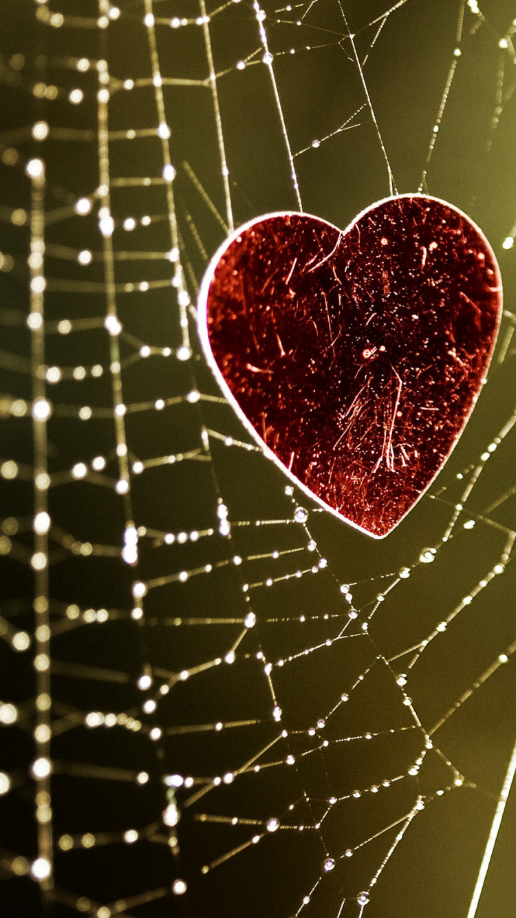 Herzen, Wasser, Spinnennetz, Liebe, Feuchtigkeit. Wallpaper in 750x1334 Resolution