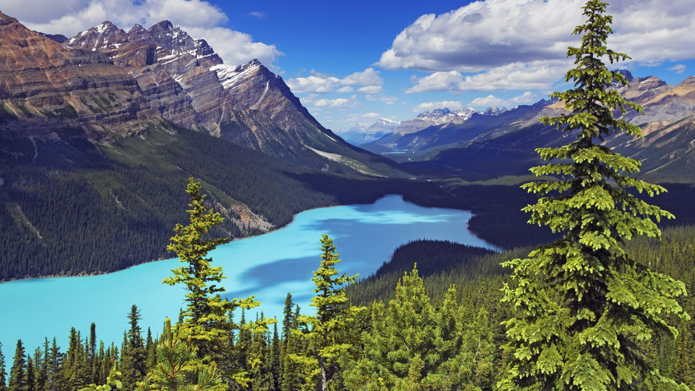 Green Trees Near Lake Under Blue Sky During Daytime. Wallpaper in 1366x768 Resolution