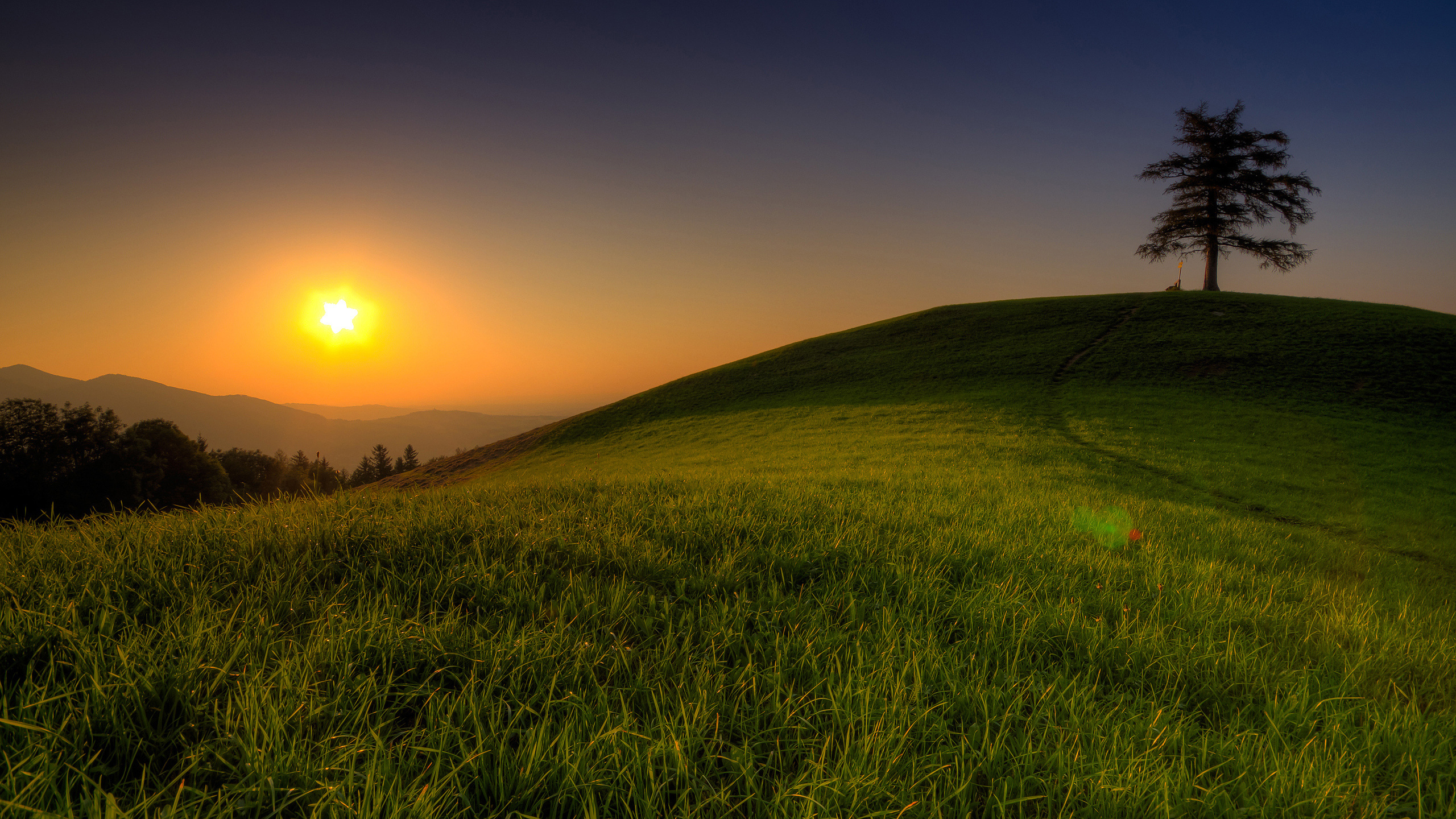 Champ D'herbe Verte Pendant le Coucher du Soleil. Wallpaper in 2560x1440 Resolution