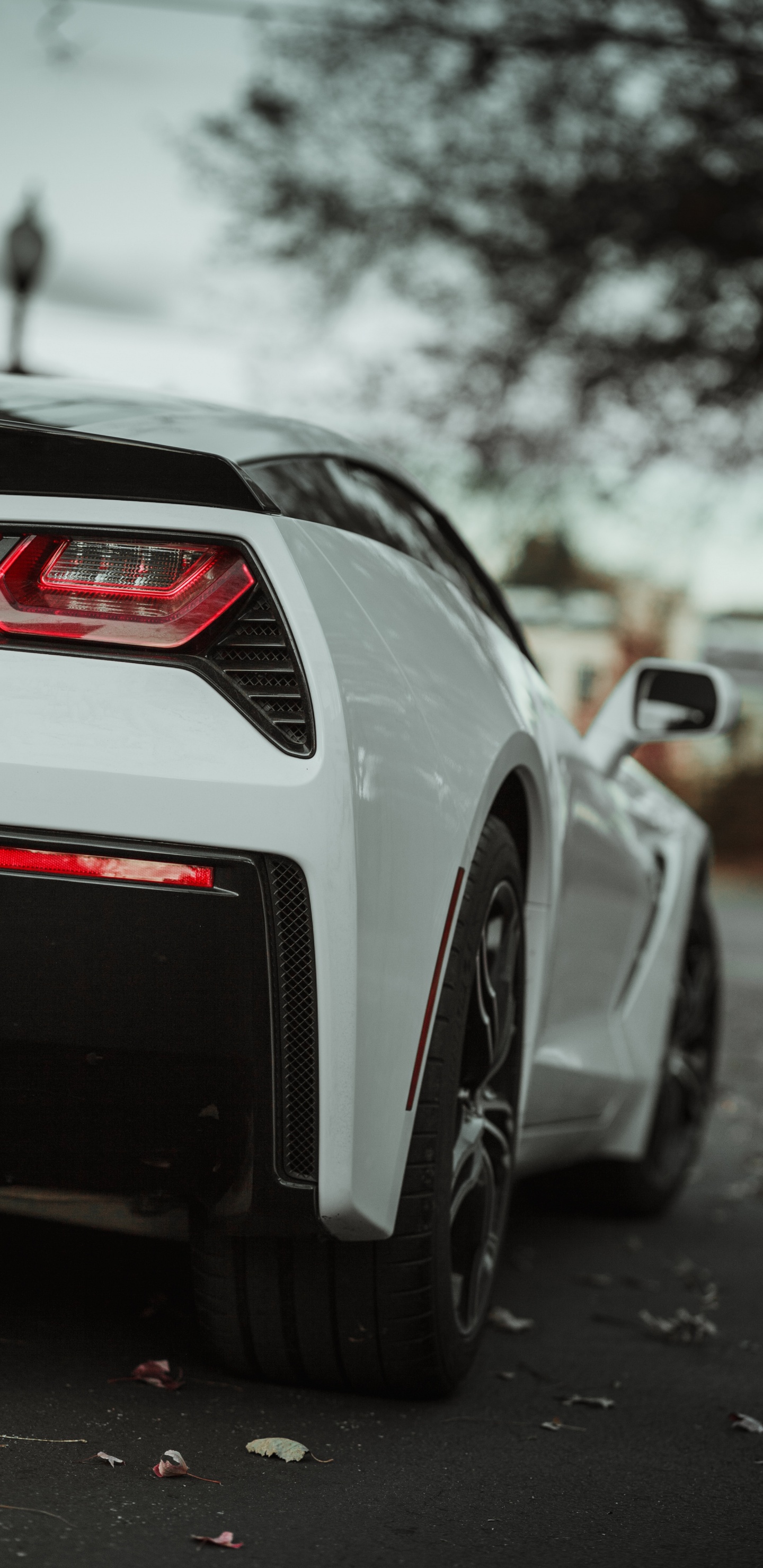 Weißer Bmw m 3 Tagsüber Unterwegs. Wallpaper in 1440x2960 Resolution