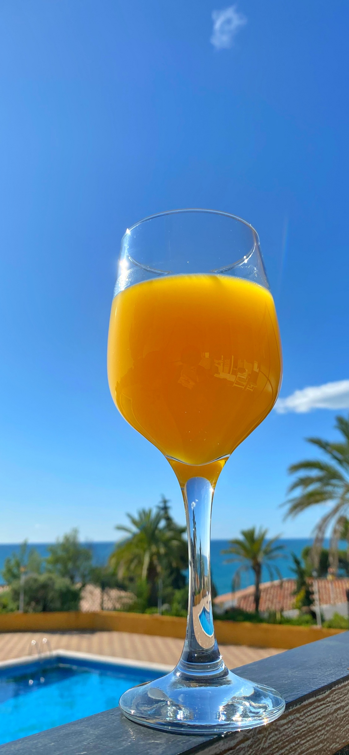 Bellini, Vino, Jugo, Copa de Vino, Líquido. Wallpaper in 1125x2436 Resolution