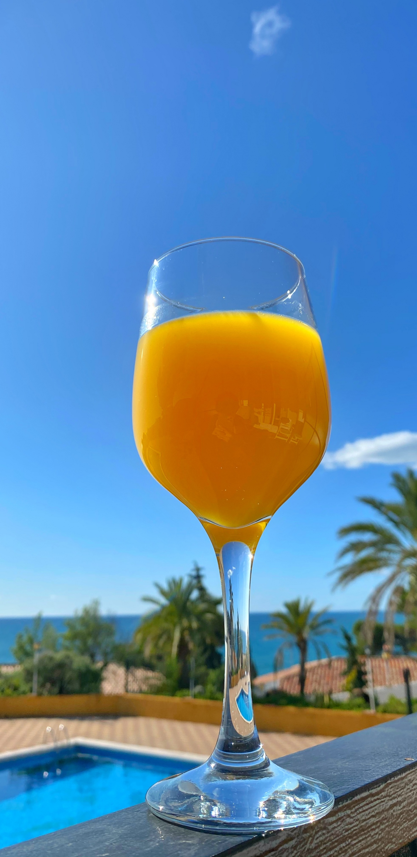 Bellini, Wein, Saft, Flüssigkeit, Tafelgeschirr. Wallpaper in 1440x2960 Resolution