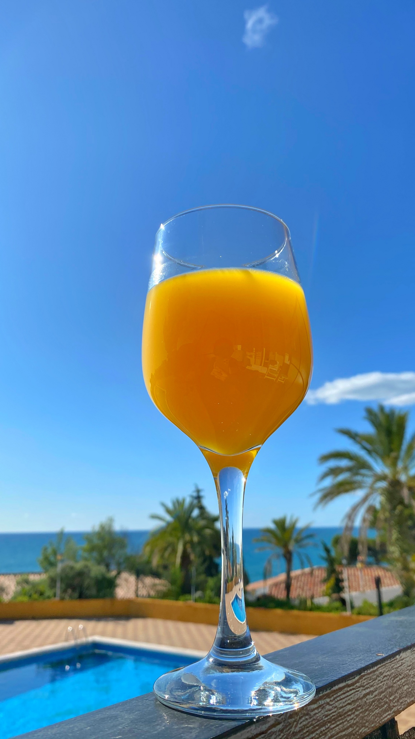 Drink, Bellini, Wine, Juice, Wine Glass. Wallpaper in 1440x2560 Resolution