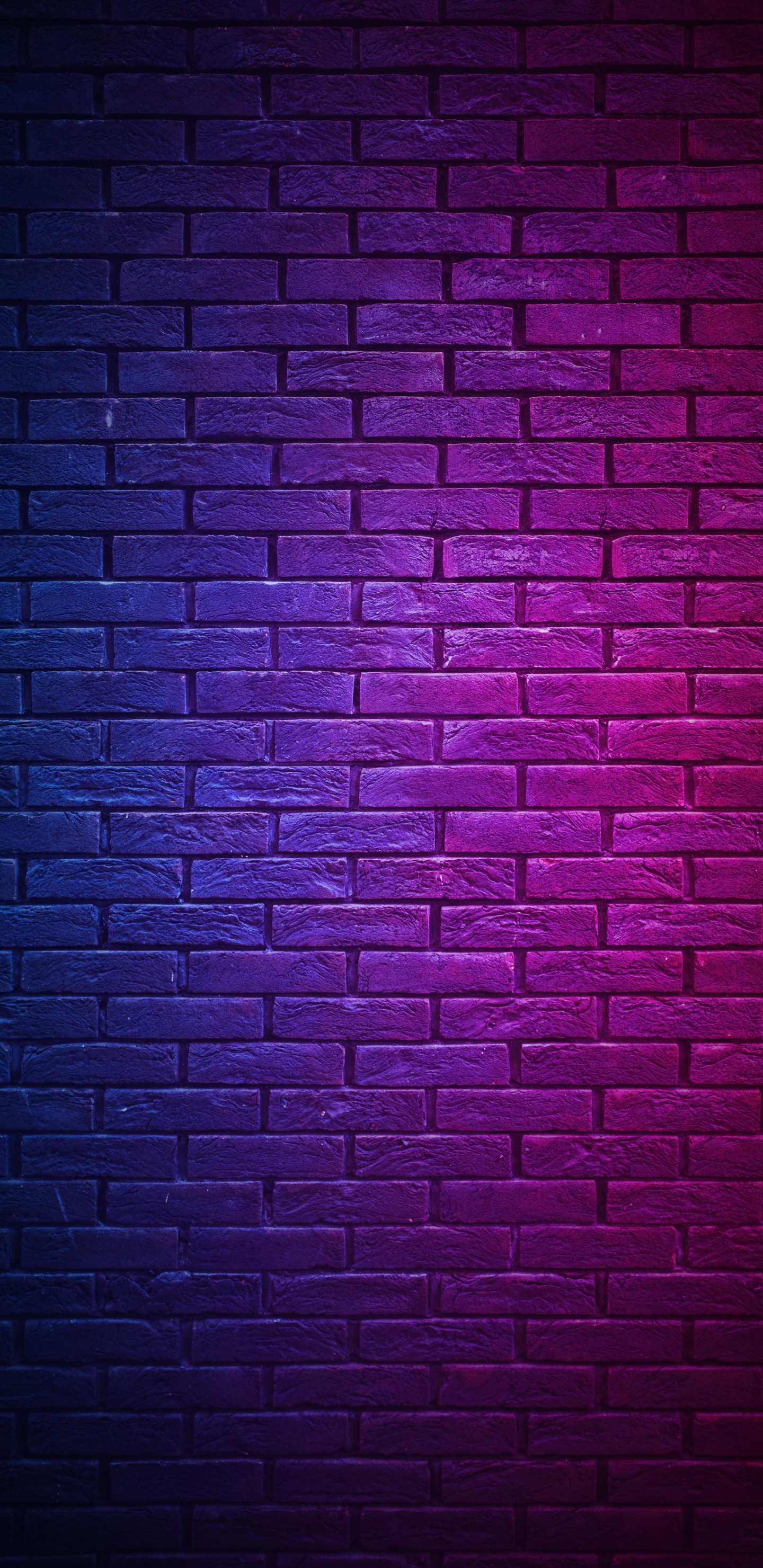 Wall, el Original, Amor de Chat, Song, Lyrics. Wallpaper in 1440x2960 Resolution