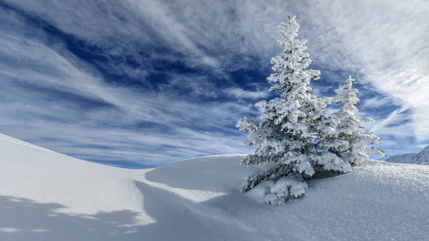 Arbre Couvert de Neige Sur le Champ Couvert de Neige Sous Ciel Bleu et Nuages Blancs Pendant la Journée. Wallpaper in 1366x768 Resolution