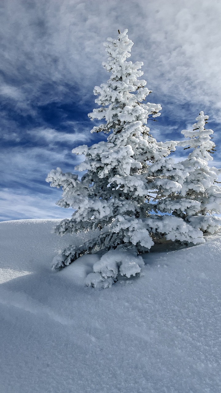 Snow Covered Tree on Snow Covered Field Under Blue Sky and White Clouds During Daytime. Wallpaper in 720x1280 Resolution