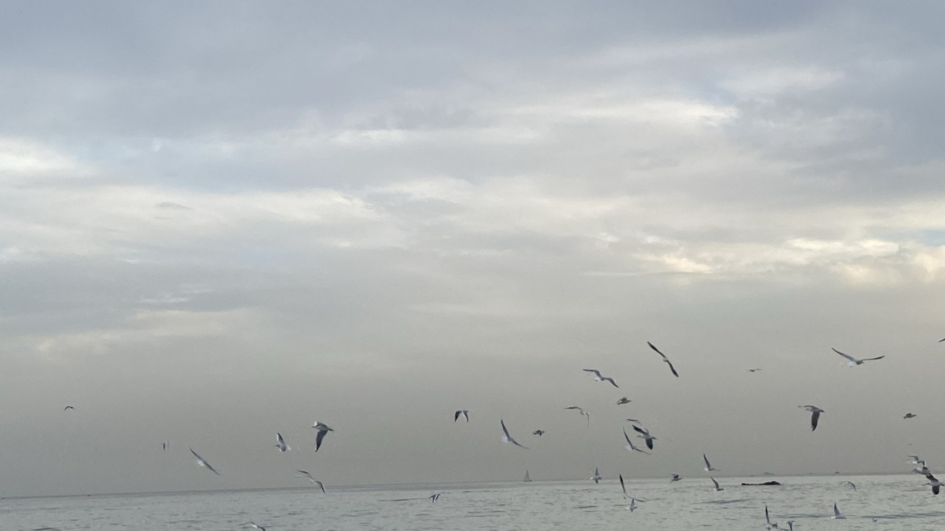 大海, 人体内的水, 流体, 液体, 自然环境 壁纸 1366x768 允许