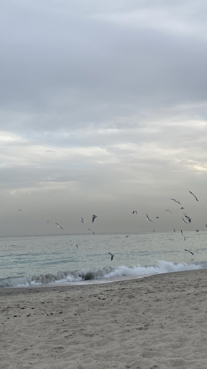 Sea, Body of Water, Fluid, Liquid, Natural Environment. Wallpaper in 720x1280 Resolution