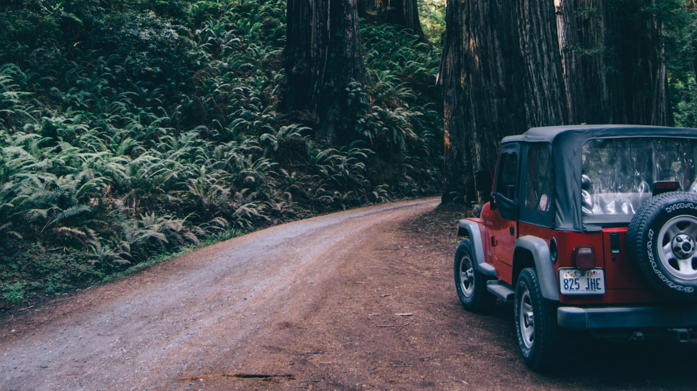 Black Suv on Road in Between Trees During Daytime. Wallpaper in 1366x768 Resolution