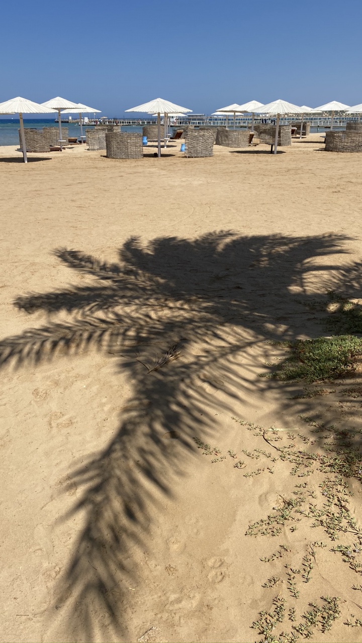 Arena, la Luz Del Sol, Playa, Carpa. Wallpaper in 720x1280 Resolution