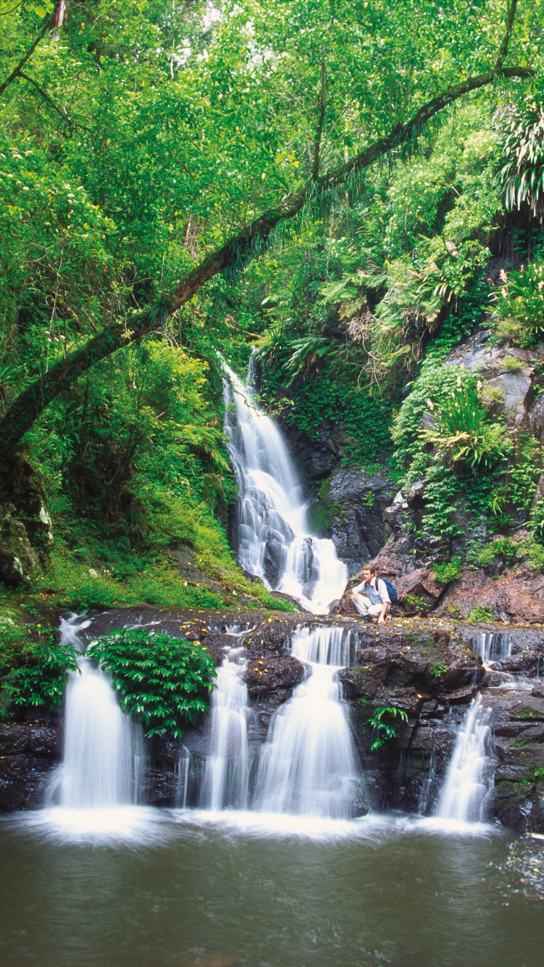 Cascadas en Medio Del Bosque. Wallpaper in 1080x1920 Resolution