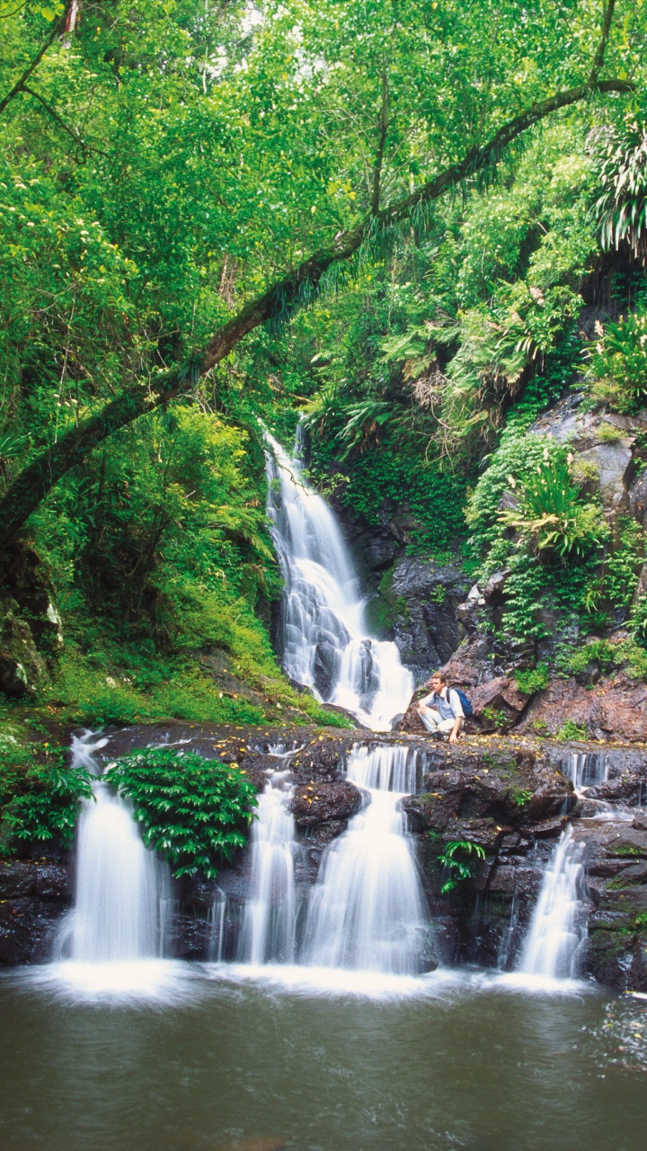 水资源, 人体内的水, 性质, 自然保护区, 植被 壁纸 720x1280 允许