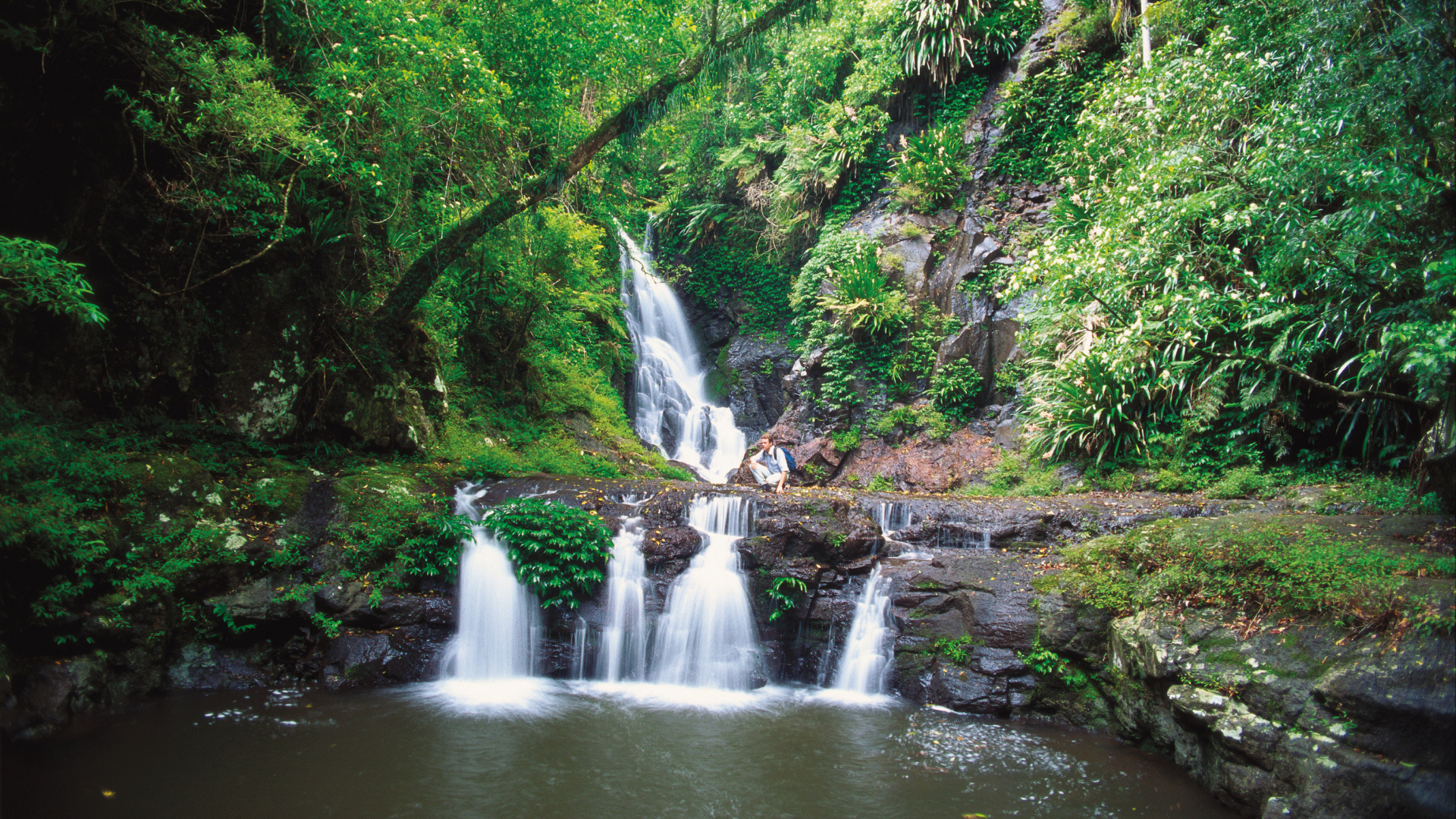 Waterfalls in The Middle of The Forest. Wallpaper in 1920x1080 Resolution