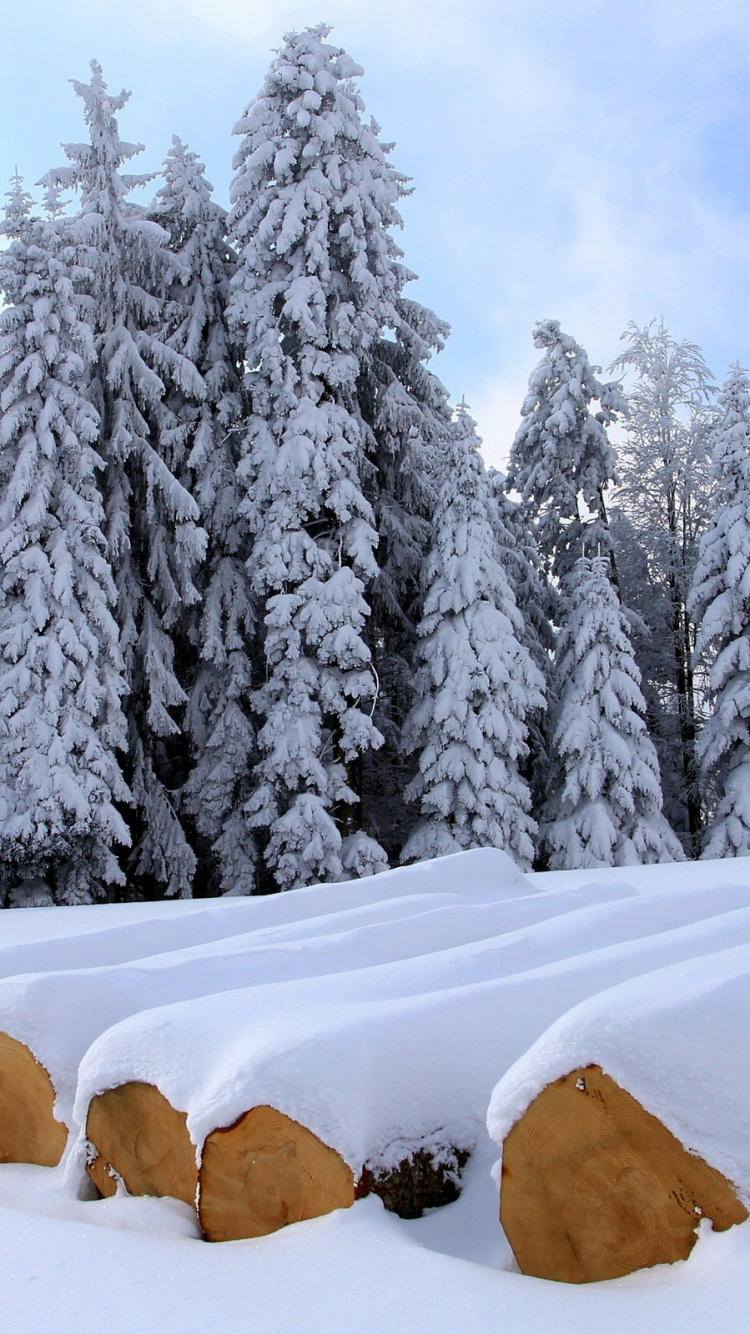 Snow Covered Trees and Mountains During Daytime. Wallpaper in 750x1334 Resolution