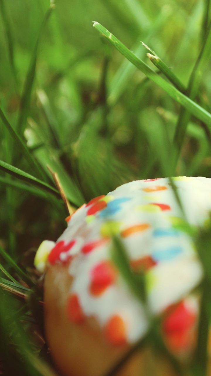 White and Red Strawberry on Green Grass. Wallpaper in 720x1280 Resolution