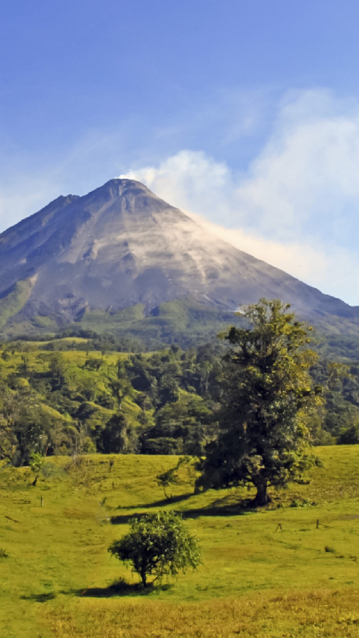 Champ D'herbe Verte Près de la Montagne Sous Des Nuages Blancs Pendant la Journée. Wallpaper in 720x1280 Resolution