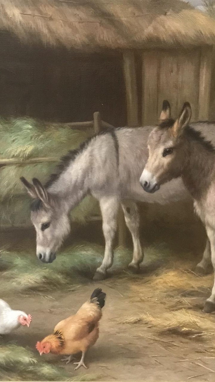 Black and White Donkey and White and Brown Horse Painting. Wallpaper in 720x1280 Resolution