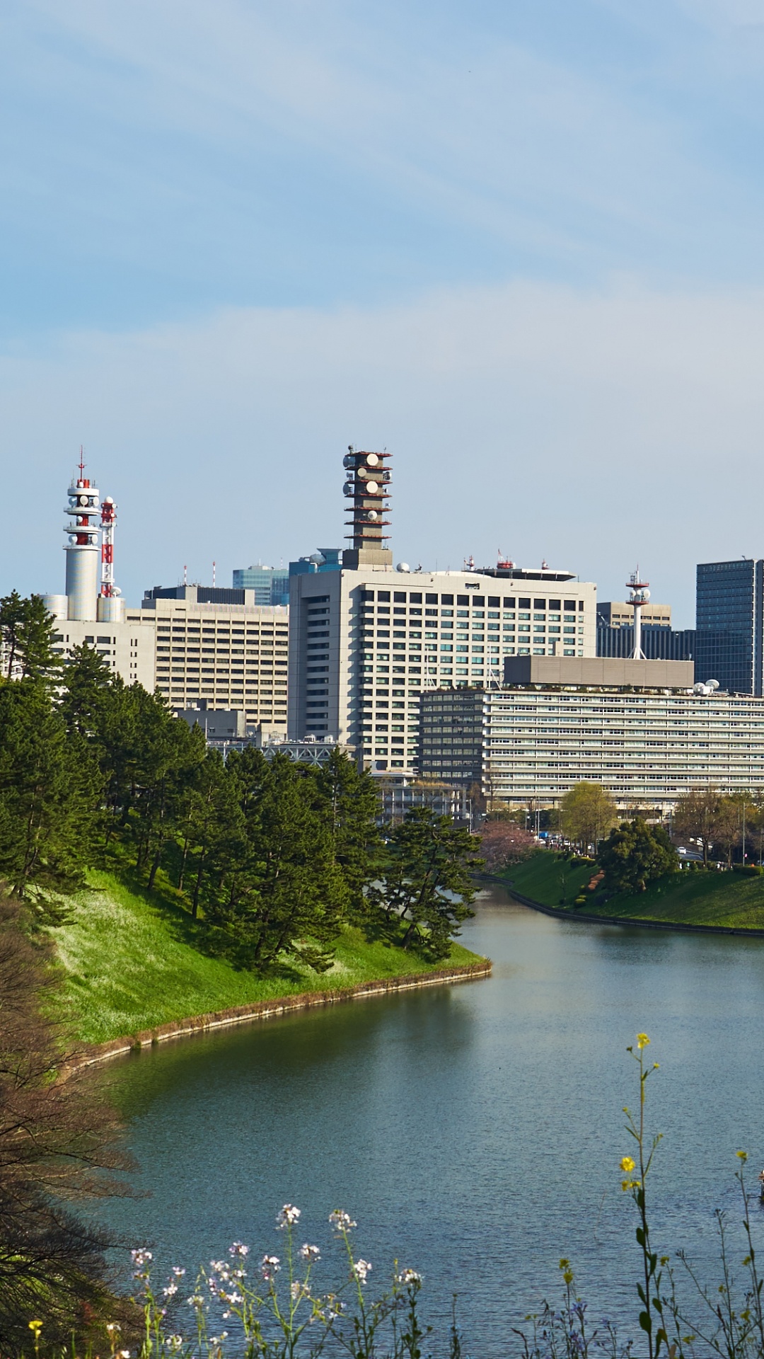 High Rise Buildings Near River During Daytime. Wallpaper in 1080x1920 Resolution