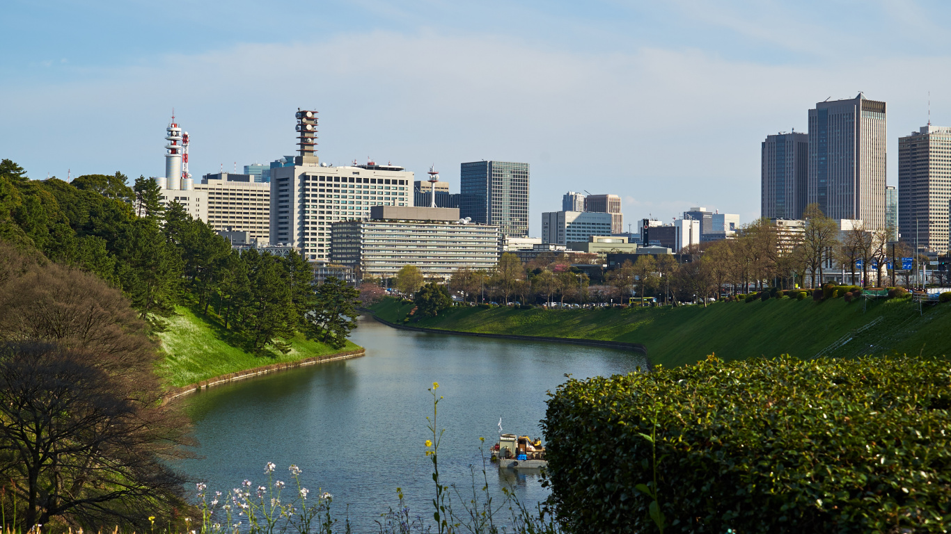 High Rise Buildings Near River During Daytime. Wallpaper in 1366x768 Resolution