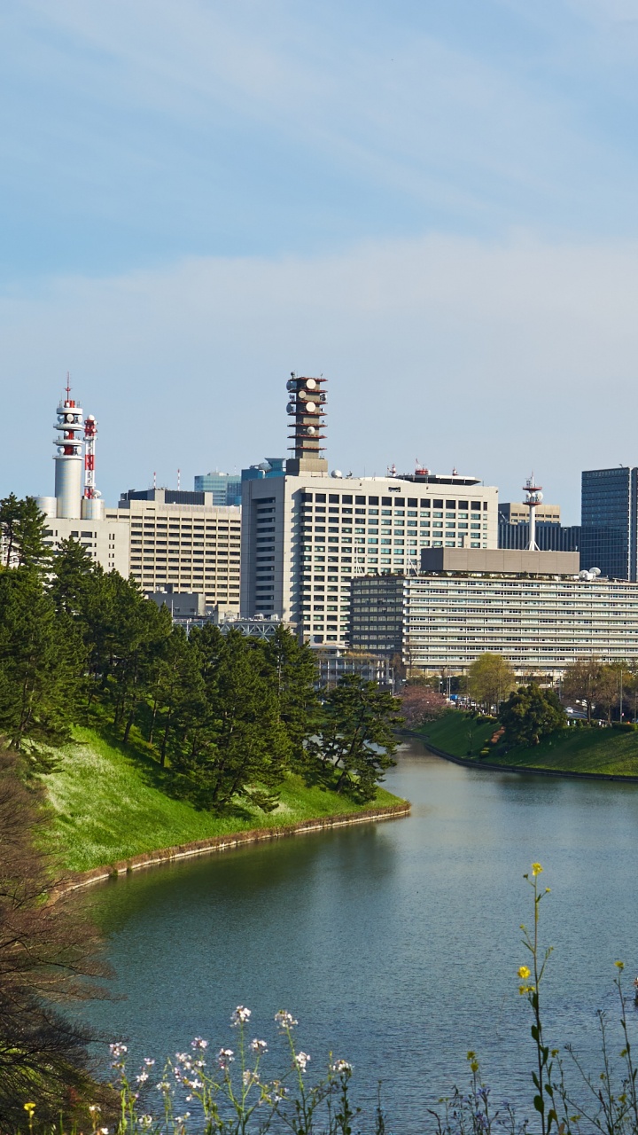 High Rise Buildings Near River During Daytime. Wallpaper in 720x1280 Resolution