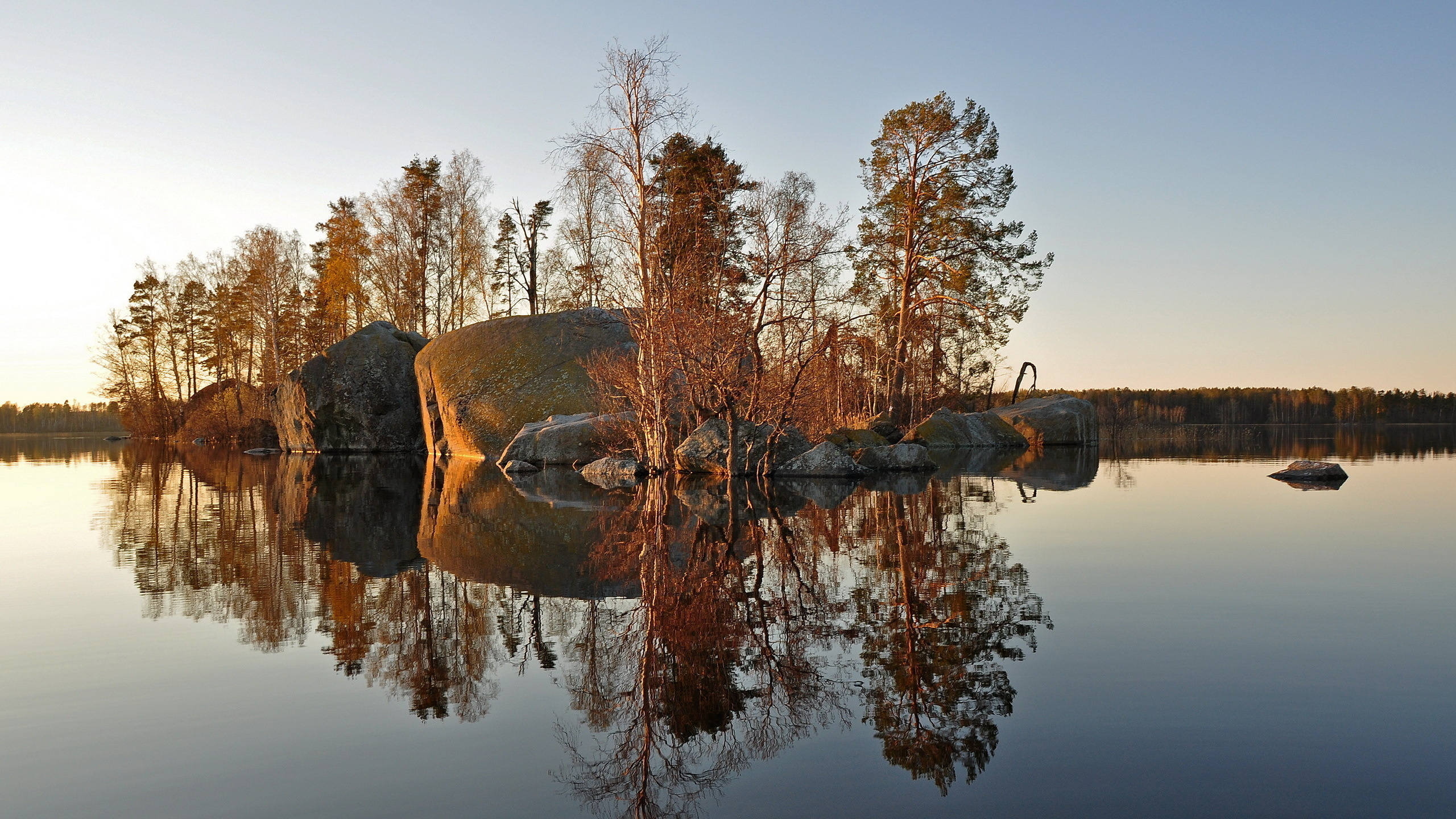 Brown Trees Beside Body of Water During Daytime. Wallpaper in 2560x1440 Resolution