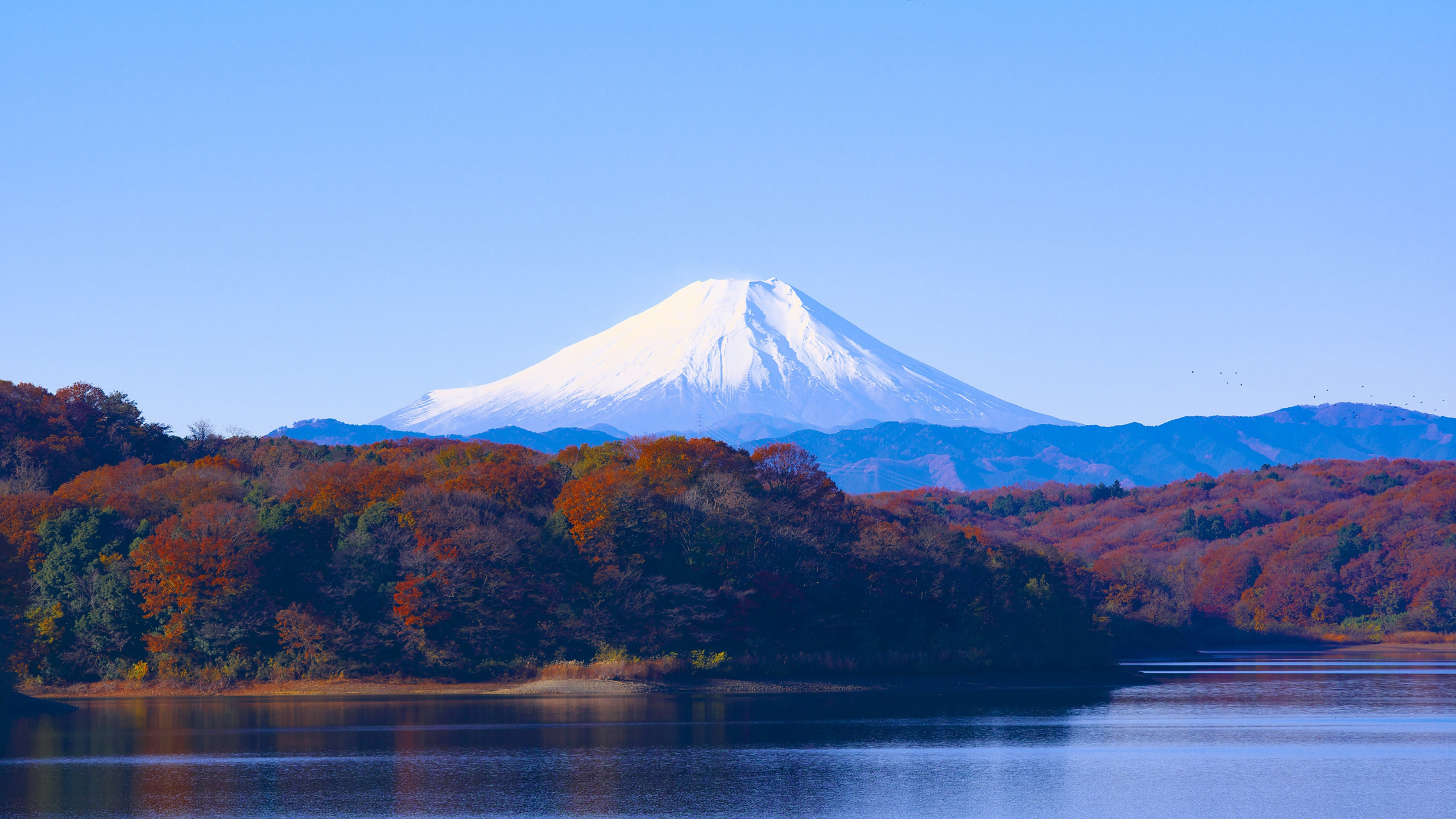 Brown and White Mountain Near Body of Water During Daytime. Wallpaper in 2560x1440 Resolution