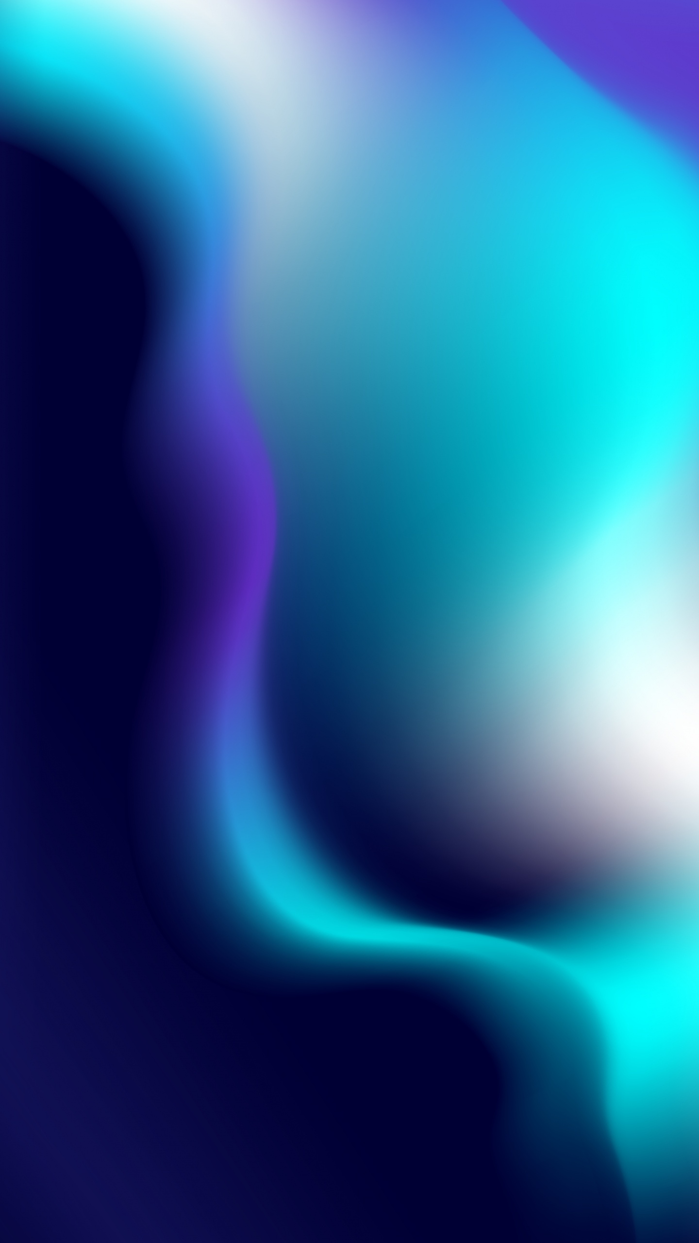 Close Up, Wisgoon, Blau, Purpur, Veilchen. Wallpaper in 1440x2560 Resolution