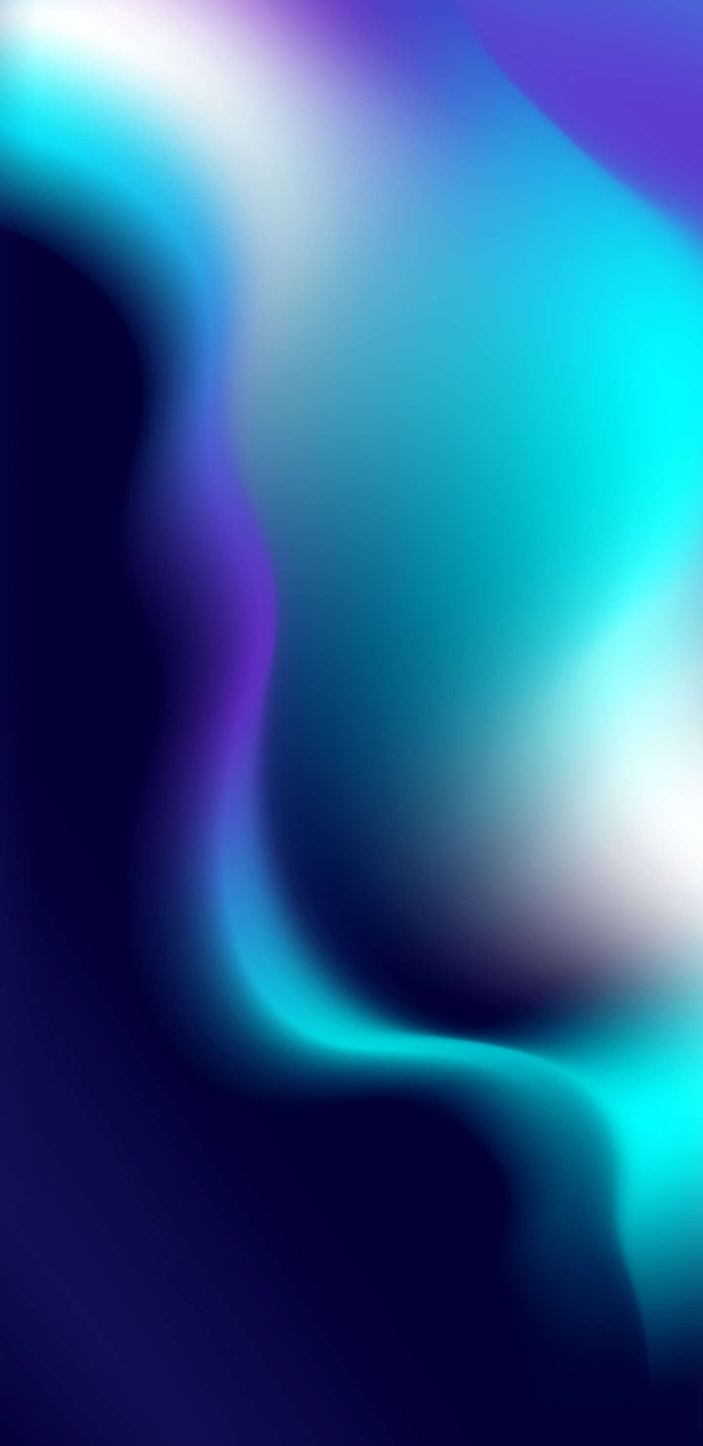 Fermer, Wisgoon, Blue, Purple, Violette. Wallpaper in 1440x2960 Resolution