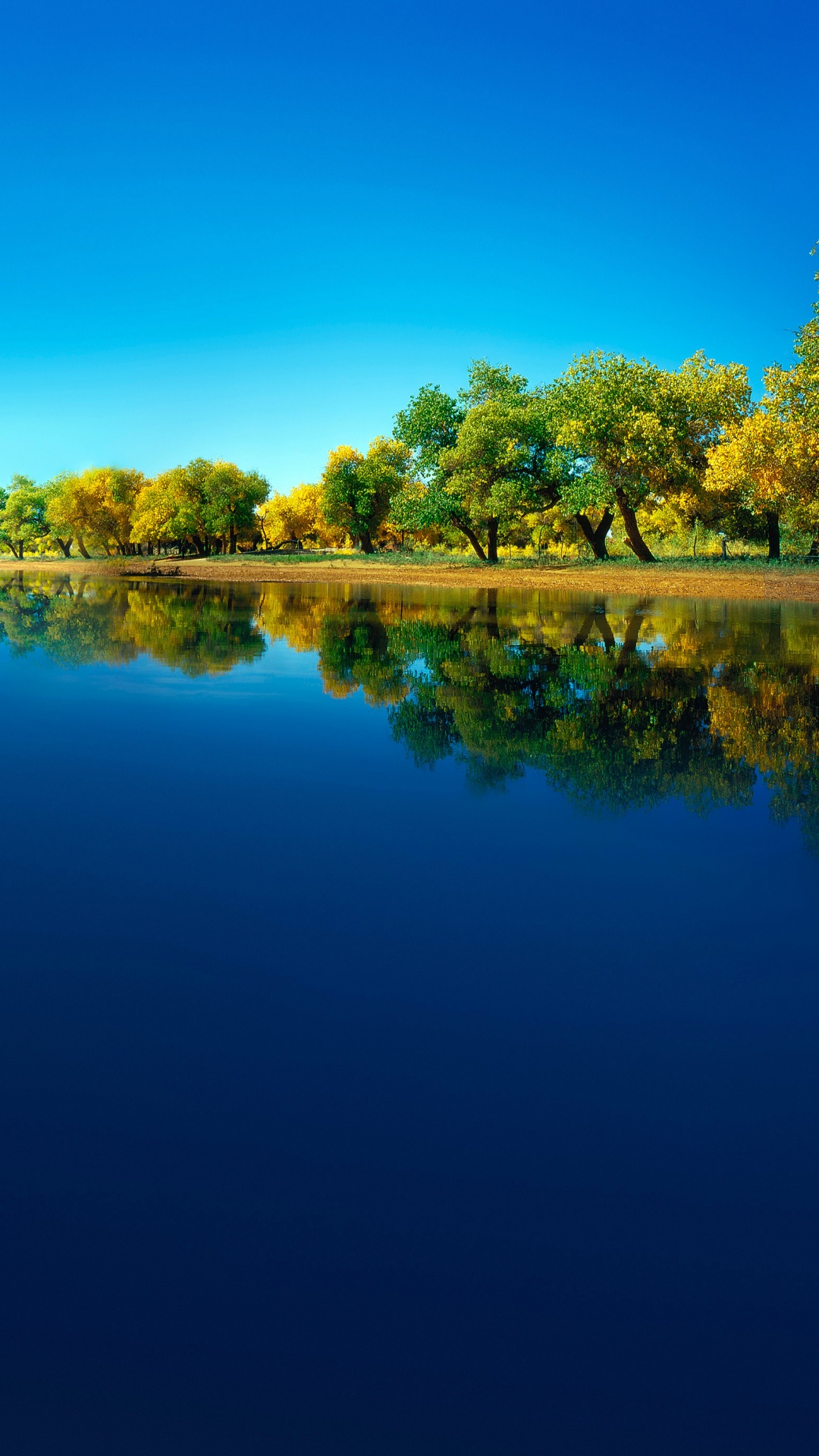 Huawei, Huawei Mate, Huawei Mate 40 Pro, Huawei P40, Huawei Mate 30. Wallpaper in 1080x1920 Resolution