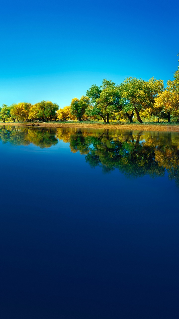 Huawei, Huawei Mate, Huawei Mate 40 Pro, Huawei P40, Huawei Mate 30. Wallpaper in 720x1280 Resolution