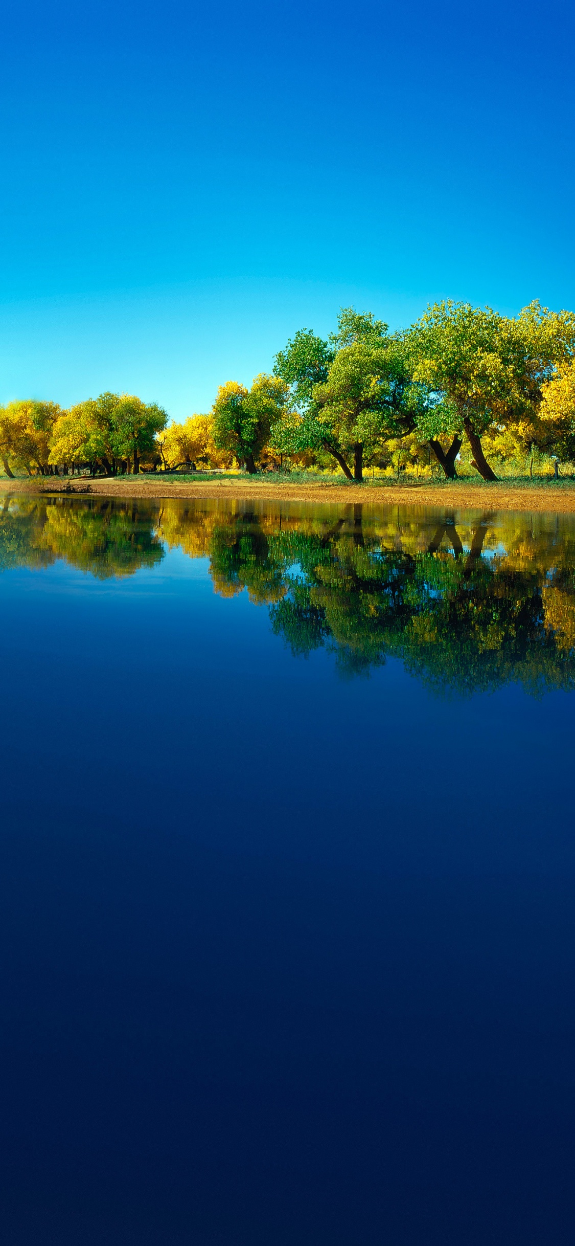 Huawei, Huawei Mate, Huawei Mate 40 Pro, Huawei P40, Huawei Mate 30. Wallpaper in 1125x2436 Resolution