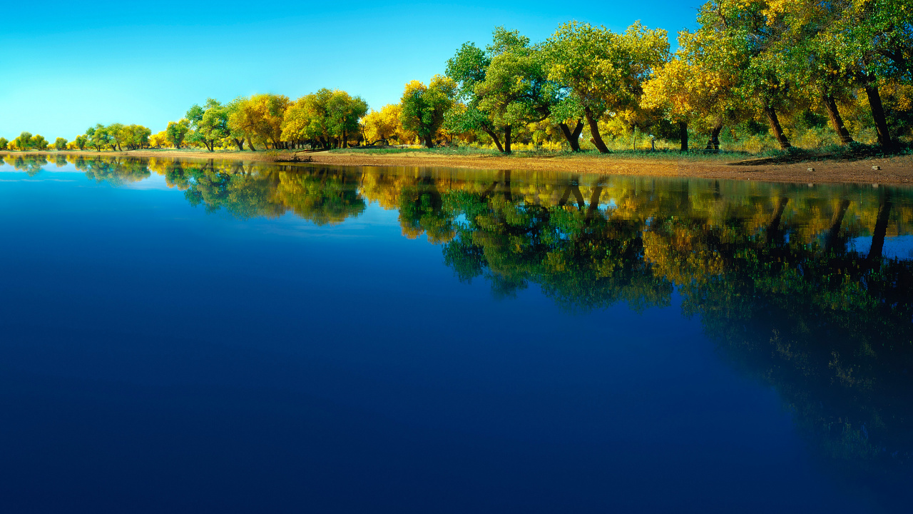 Huawei, Huawei Mate, Huawei Mate 40 Pro, Huawei P40, Huawei Mate 30. Wallpaper in 1280x720 Resolution