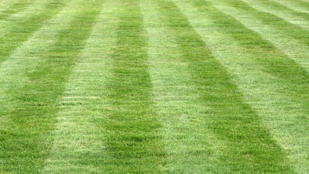 Green Grass Field During Daytime. Wallpaper in 1280x720 Resolution