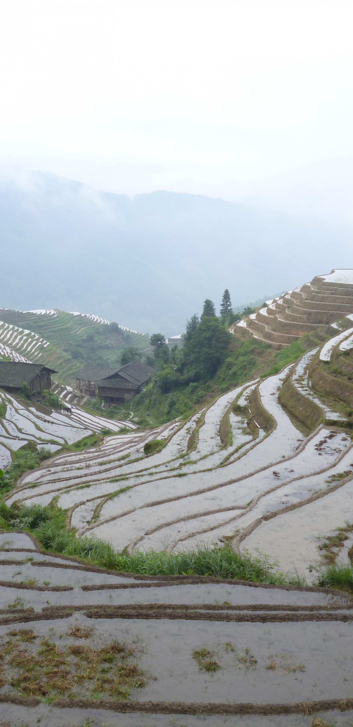 Montañas Verdes y Blancas Bajo un Cielo Blanco Durante el Día. Wallpaper in 1440x2960 Resolution