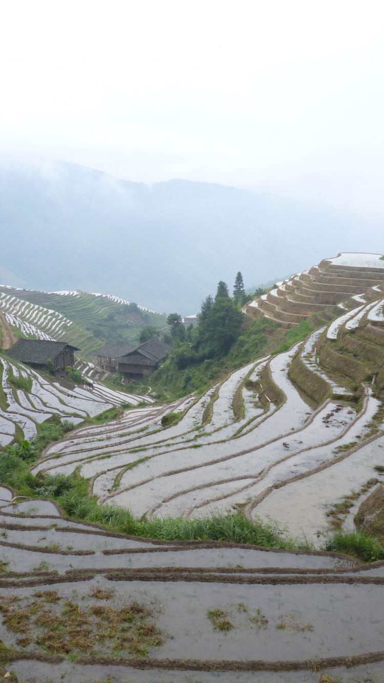Montañas Verdes y Blancas Bajo un Cielo Blanco Durante el Día. Wallpaper in 750x1334 Resolution