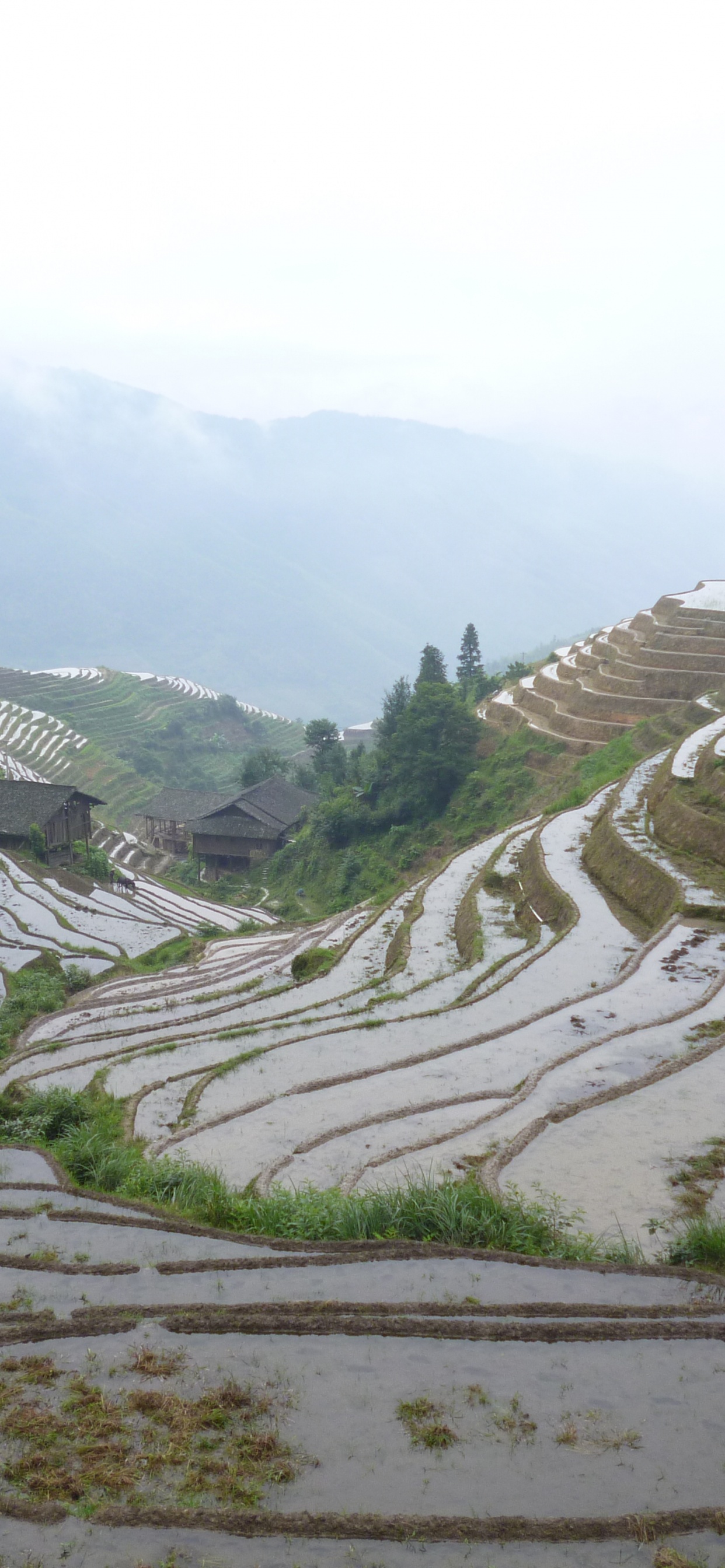 露台, 高地, 山站, 海报, Fukei 壁纸 1242x2688 允许