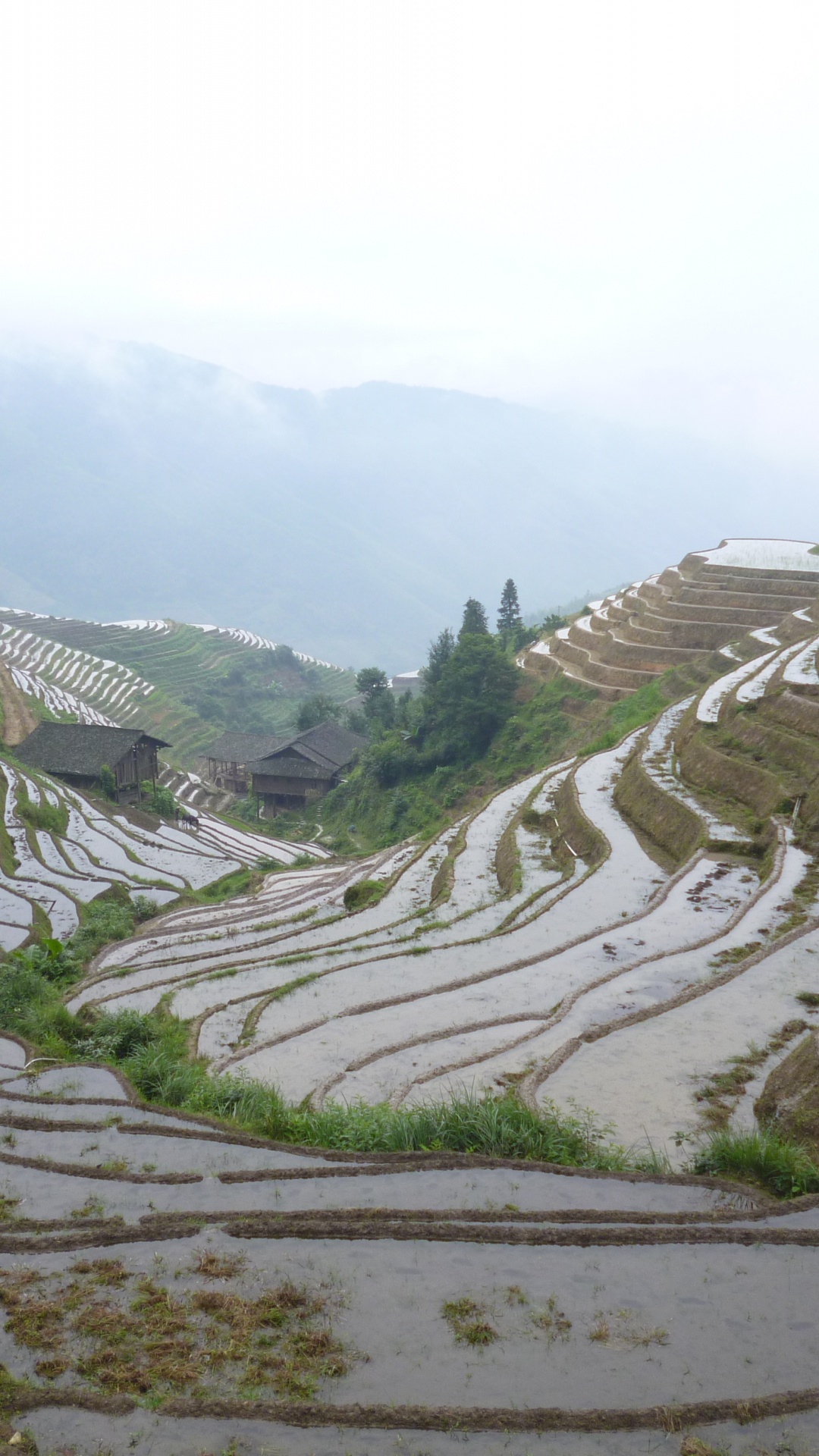Green and White Mountains Under White Sky During Daytime. Wallpaper in 1080x1920 Resolution