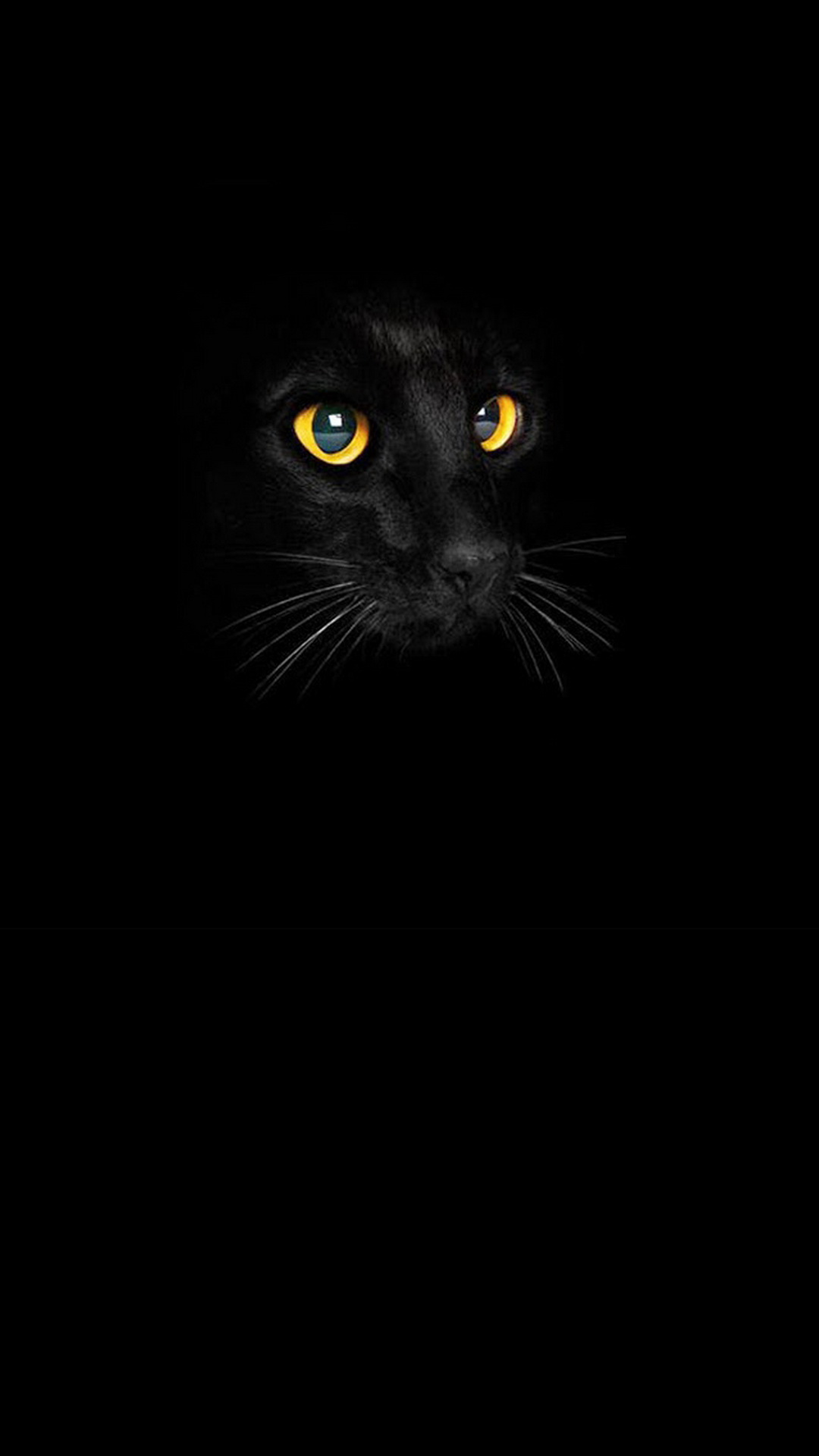 Download wallpaper 800x1420 cat black cat eyes dark iphone se5s5c5  for parallax hd background