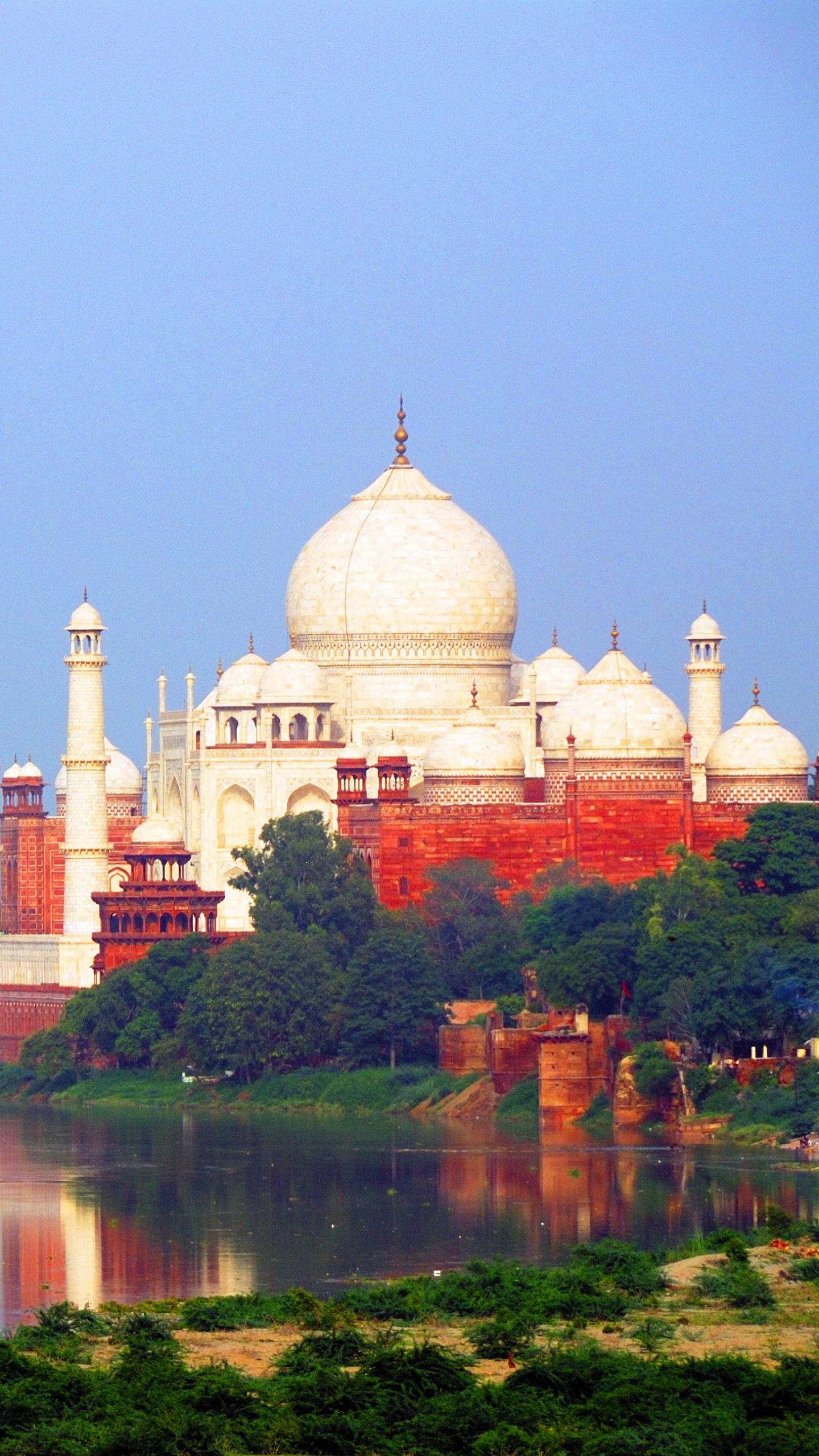 泰姬陵, 阿格拉堡, 里程碑, 礼拜的地方, 清真寺 壁纸 1440x2560 允许