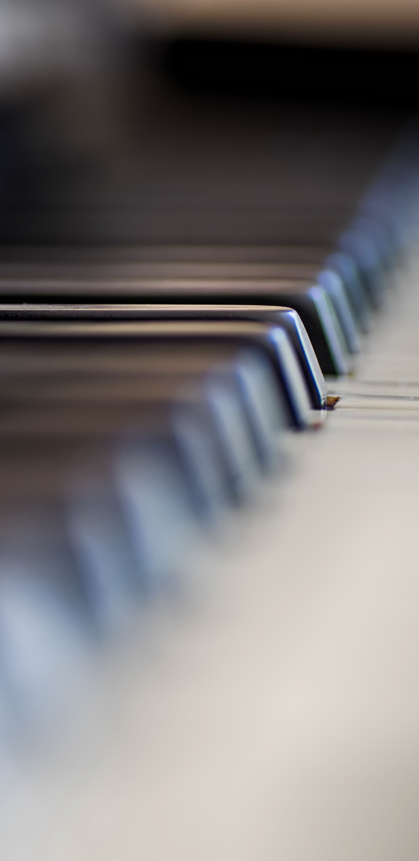 Piano, Fila, Metal, Acero, Madera. Wallpaper in 1440x2960 Resolution