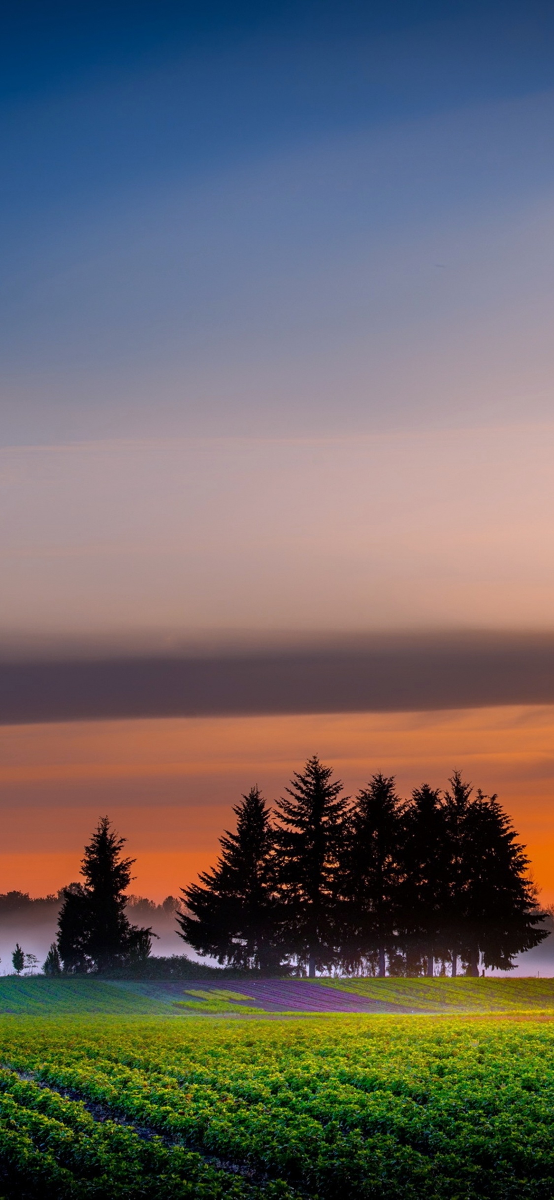 Green Grass Field With Trees Under Blue Sky During Daytime. Wallpaper in 1125x2436 Resolution