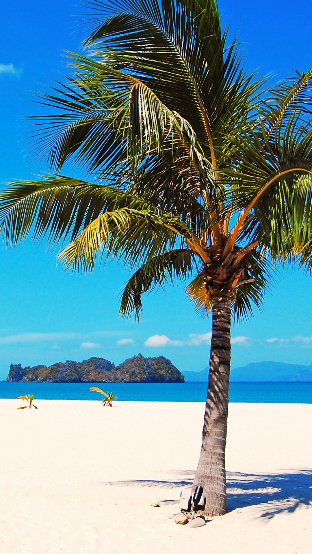 Green Palm Tree on White Sand Beach During Daytime. Wallpaper in 1080x1920 Resolution